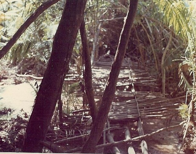 Bridge through jungle 3